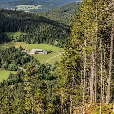 Apartament Fewo Poppe - Schluchsee, Feldberg - #125588